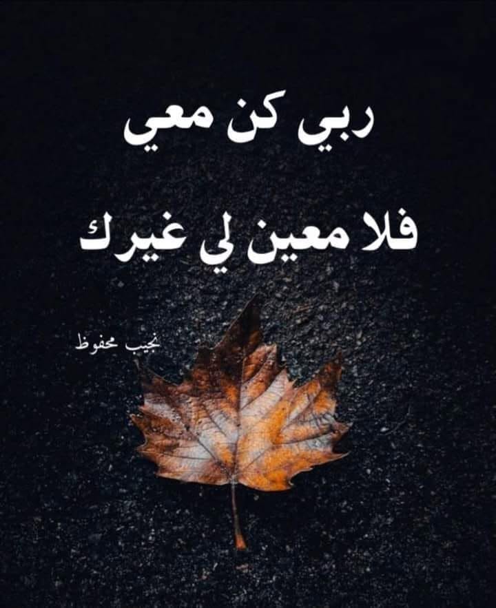HFI6ZB 5