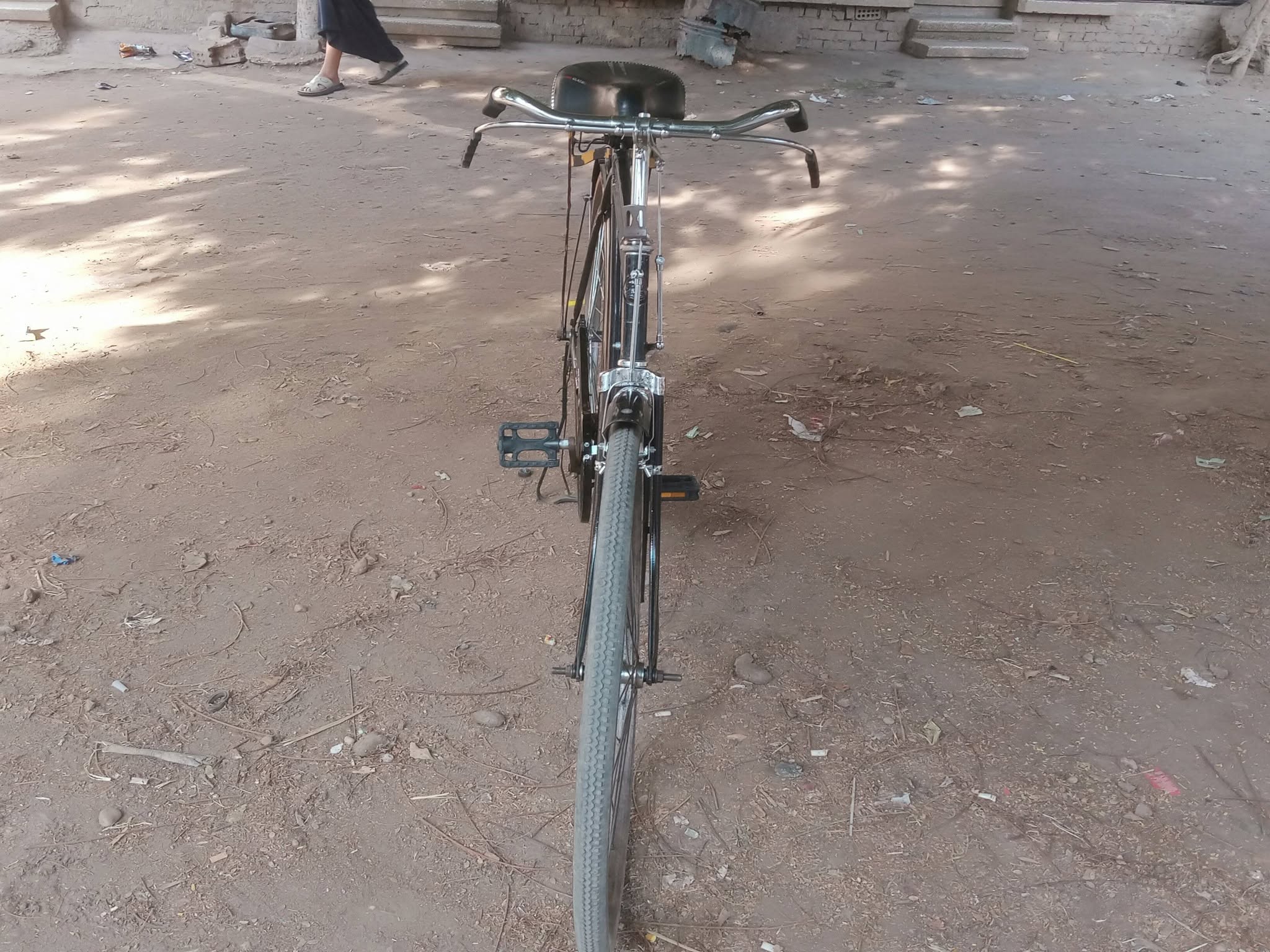 bicycle Harven Kiori  5