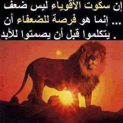 GYI4MR 5
